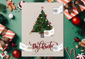 Numismatic Advent Calendar
